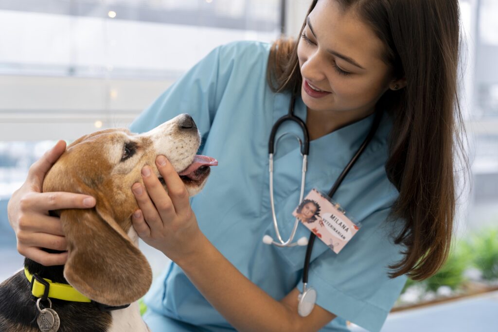 Animal Health International | Enhancing the Well-being of Our Animal Companions in 2024.